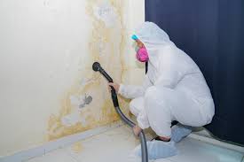 Best Comprehensive Air Testing for Mold Contaminants in Soledad, CA